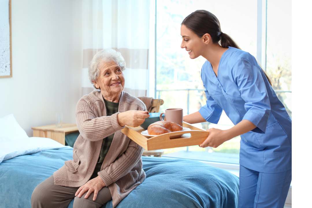 Centro de Día Temporal